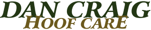 dc logo